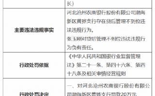 河北沧州农商银行渤海新区黄骅支行被罚20万元：因贷后管理不到位