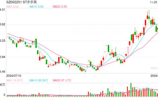 股东大会多项议案获通过 ST步步高将加快门店调改